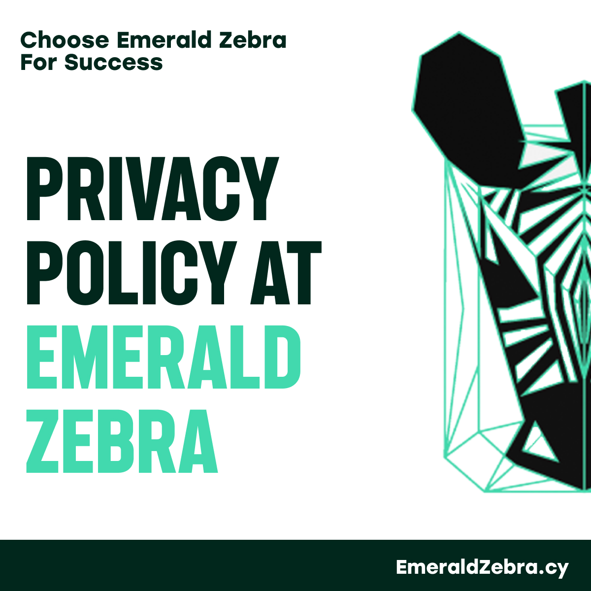 Privacy Policy at Emerald Zebra